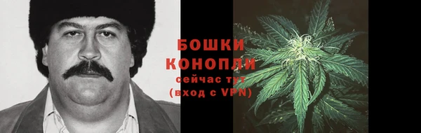 PSILOCYBIN Янаул