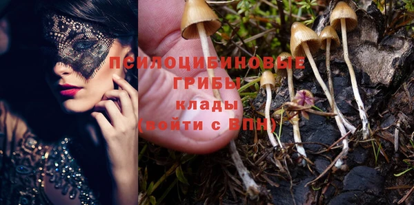 MDMA Premium VHQ Пересвет