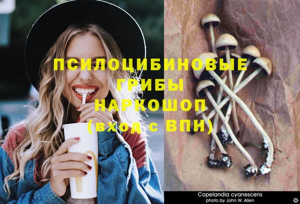 MDMA Premium VHQ Пересвет