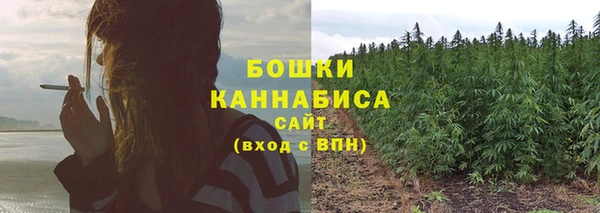 гидра Переславль-Залесский