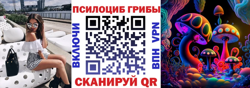 Псилоцибиновые грибы MAGIC MUSHROOMS  omg ONION  Сертолово 